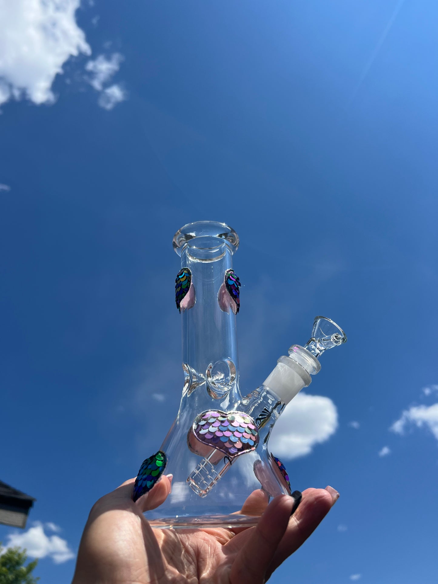 Rainbow Heart 🌈🖤