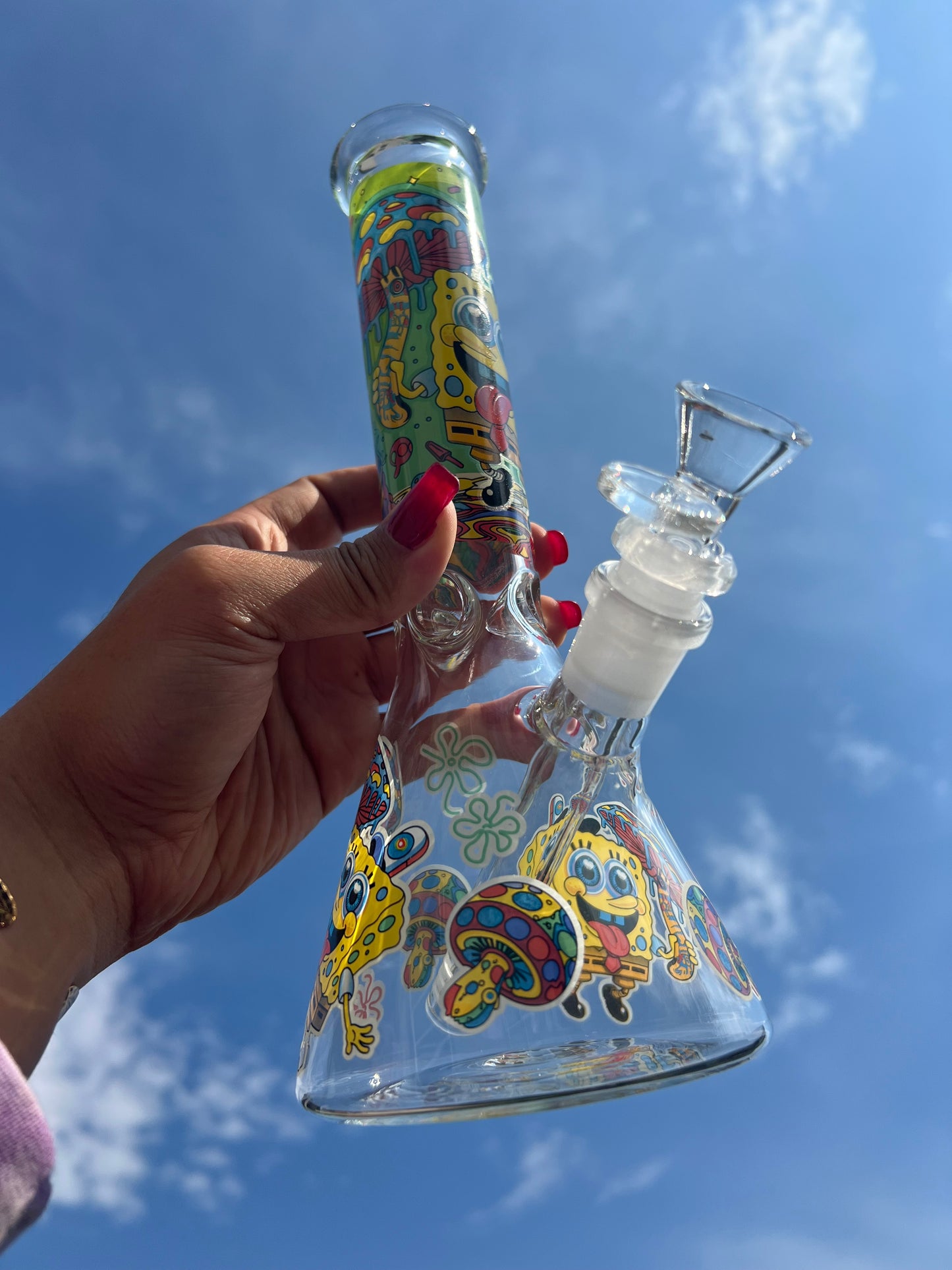 🧽Spongebob Highpants