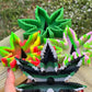 Sili Ash Tray