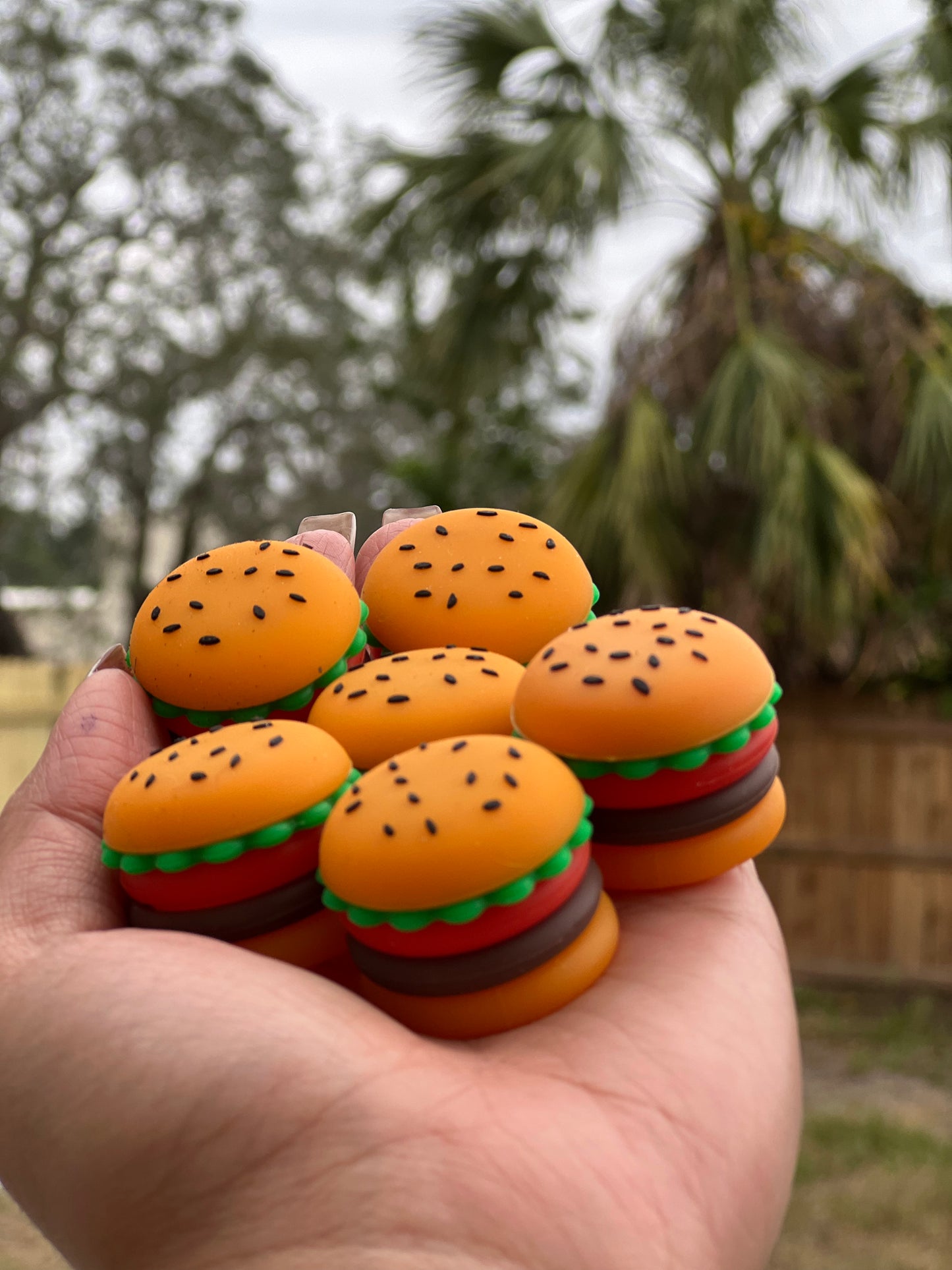 Sili Cheeseburger Slick
